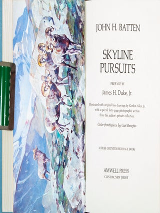 Skyline Pursuits