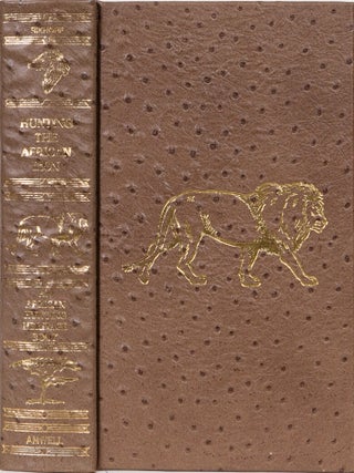 Hunting the African Lion