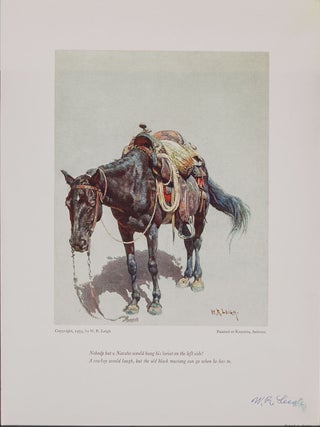 The Western Pony
