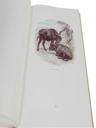 The Art of Edmund Caldwell II