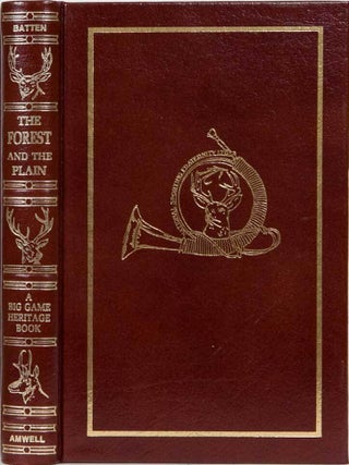 The Forest and the Plain
