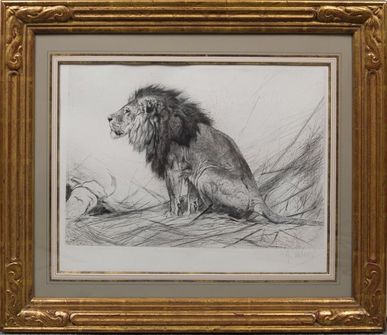 Item #4423 Lion. Wilhelm Kuhnert.
