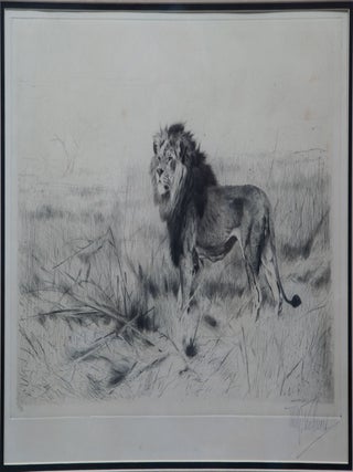The Hunt