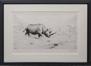 Item #4426 African Rhinoceros. Wilhelm Kuhnert