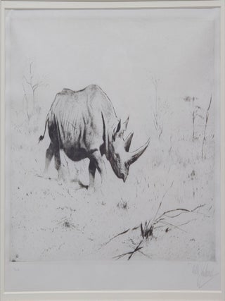 African Rhinoceros