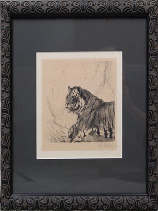 Item #4428 Tiger. Wilhelm Kuhnert