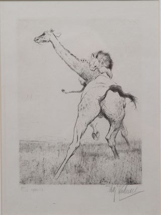 Lion Killing Giraffe