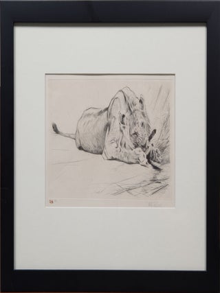 Item #4431 Lion eating. Wilhelm Kuhnert