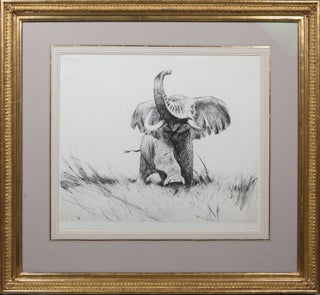Item #4432 African Elephant. Wilhelm Kuhnert