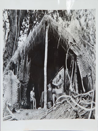 Item #4478 Jaguar Hunting. Wide World Photos Inc