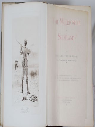The Wildfowler in Scotland