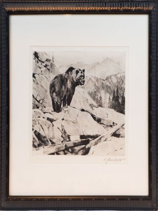 Item #4569 ORIGINAL ETCHING GRIZZLY BEAR. Carl Rungius