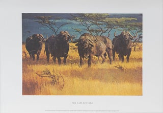 Classic African Animals The Big Five