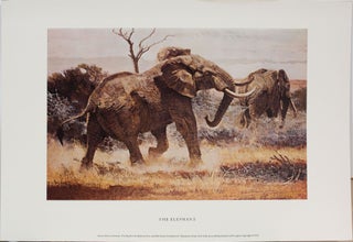 Classic African Animals The Big Five