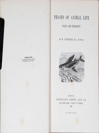 Phases of Animal Life Past and Present