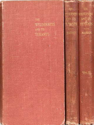 The Wilderness and Its Tenants