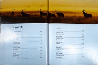 Hunting the Hippottrages SABLE, ROAN & ORYX