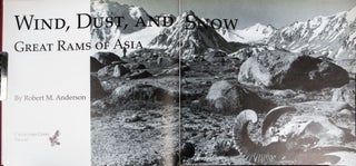 Wind Dust and Snow Great Rams of Asia