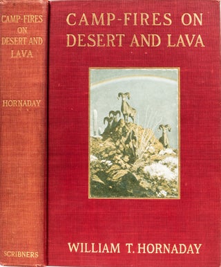 Item #6568 Camp Fires on Desert and Lava. William T. Hornaday