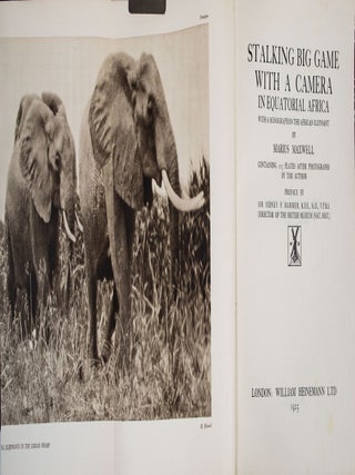 Stalking Big Game With a Camera in Equatorial Africa