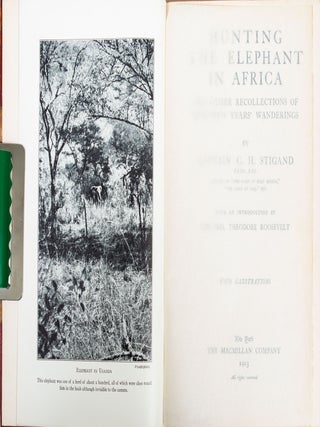 Hunting the Elephant in Africa
