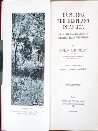 Hunting the Elephant in Africa