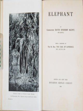 Elephant