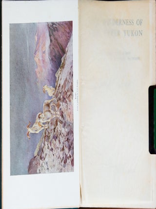 The Wilderness of the Upper Yukon