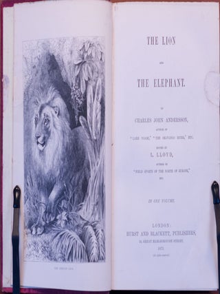 The Lion and the Elephant