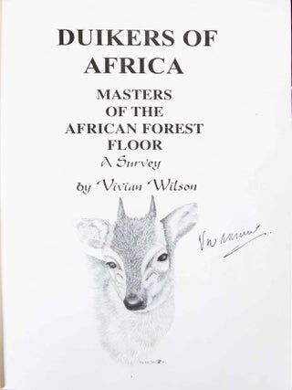 Duikers of Africa