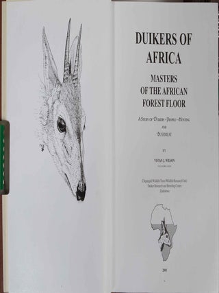 Duikers of Africa