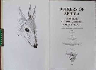 Duikers of Africa