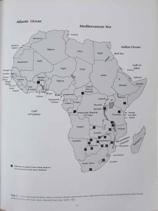 Duikers of Africa