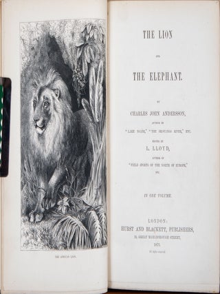 The Lion and the Elephant
