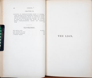 The Lion and the Elephant